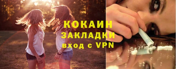дживик Алзамай