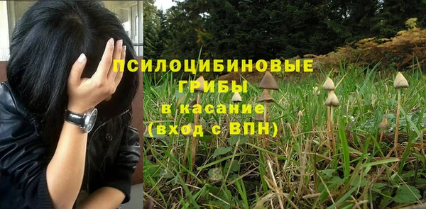 дживик Алзамай